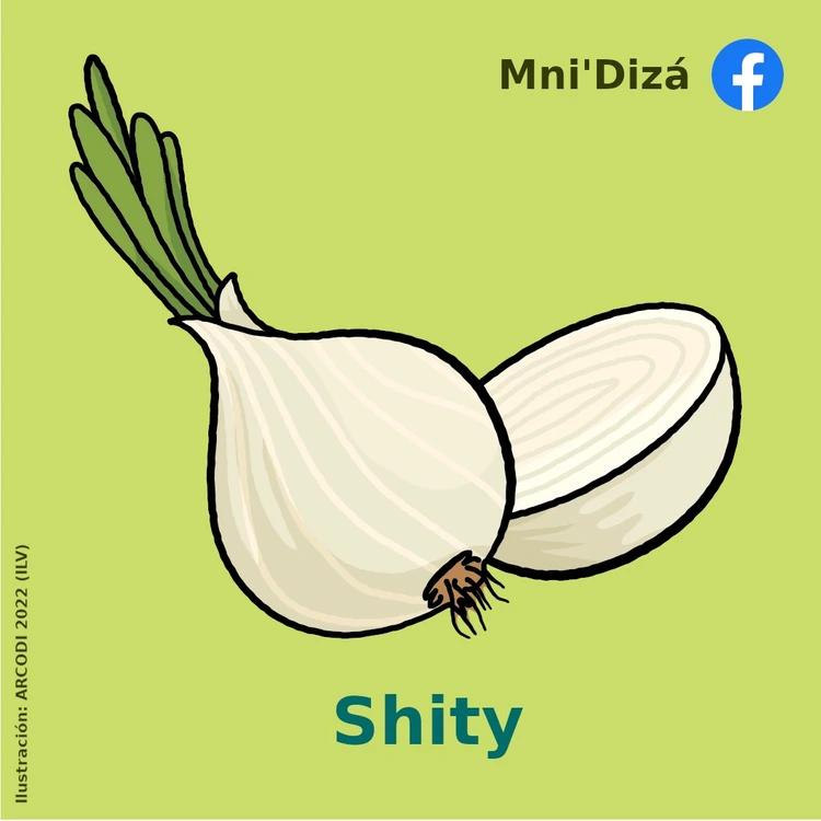 shity
